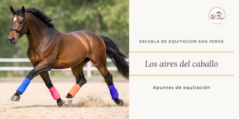 Aires del caballo: paso, trote y galope