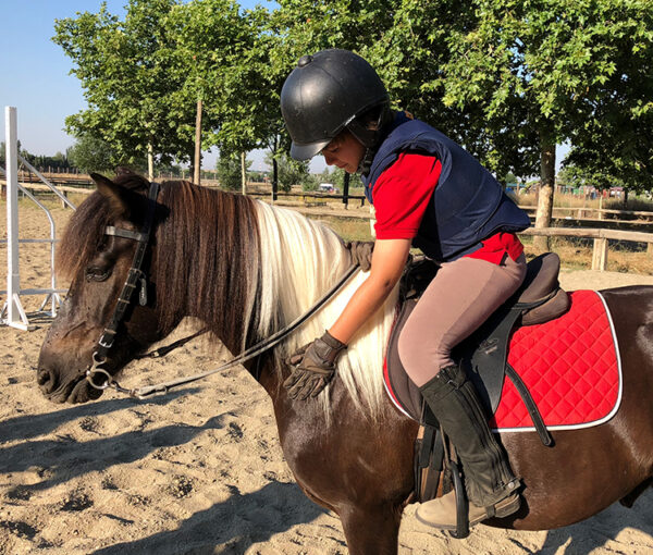 clases-de-equitaci-n-para-ni-os-pony-club-en-madrid-norte